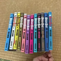 Item thumbnail for item d807eb9f-eacb-4e49-9a7d-5ec47c659992