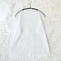 プリーツプリーズ メッシュ 半袖カットソー Tシャツ ホワイト イッセイミヤケのサムネイル