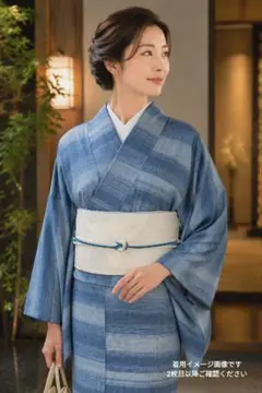 美品 正絹単衣 縄手絣 横段暈し紬 証紙有 名古屋帯サービス 裄68のサムネイル