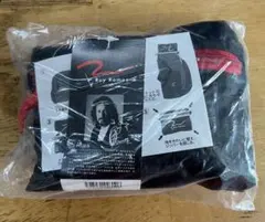 Item thumbnail for item 5c815b15-3553-48d2-bd2a-c7a379a96245