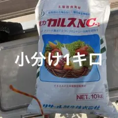 強力カルスNC-R粉状のサムネイル