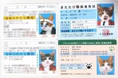 なめ猫 運転免許証 またたび取扱者免状 診療記録簿 4枚のサムネイル