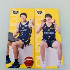 宇都宮ブレックス しおり 小川敦也 星川開聖