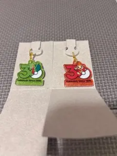 ポケモン30周年ポケチャーム キモリ ヒコザル 2点セット