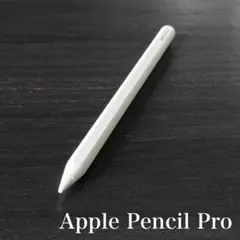 正常動作品 Apple Pencil 第2世代 MU8F2J/A s4 - メルカリ