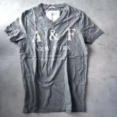 Abercrombie & Fitch グレー Vネック Tシャツ S