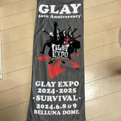 GLAY GRAND FINALE イラストビッグタオル 新品未開封 - メルカリ
