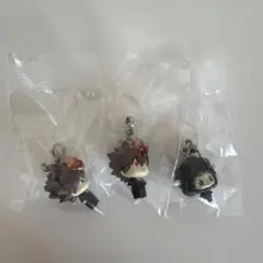 家庭教師ヒットマンREBORN！ めじるしアクセサリー 沢田綱吉 ランボ