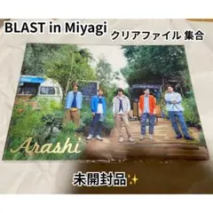 【即購入OK】 嵐 BLAST in Miyagi クリアファイル 集合 未開封