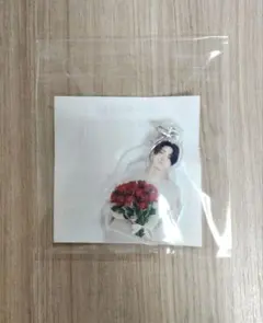 亀梨和也さん　WISH UPON A KAME アクリルチャーム
