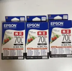 EPSON純正インク　ICBK70L 黒