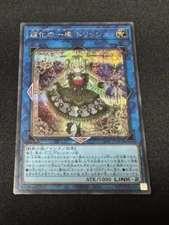 2026年最新】道化の一座 ドリッシュ CORI-JP042 SEの人気アイテム