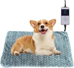 Item thumbnail for item 19b6715e-22bc-49bc-81dd-8199a313c4eb