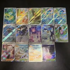 【まとめ売り】ニンジャスピナー AR SR