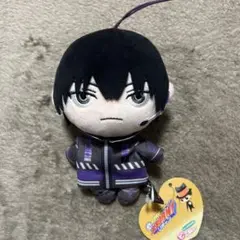 家庭教師ヒットマンREBORN! ちょっと大きなピコぬい　コンプリートセット 大人気TVアニメ『家庭教師ヒットマンREBORN! 』ちょっとおおきな