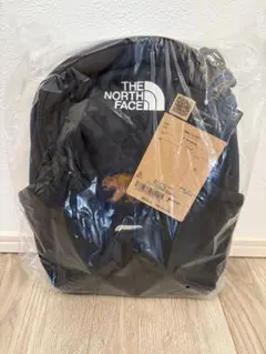 NORTH FACE K Homeslice 8L子供リュック