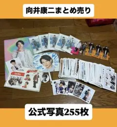 SnowMan 向井康二　まとめ売り　公式写真255枚　　 バラ売り不可