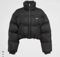 クロップド ダウンジャケット