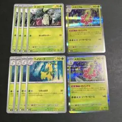 チコリータ　ベイリーフ　メガニウム　進化ライン　M1S ①