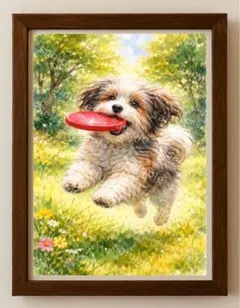 【水彩画アート】フリスビーをくわえた犬　2L版写真用紙