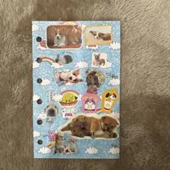 Item thumbnail for item 1cc278a0-3eca-460b-b1cd-6feaa611d051