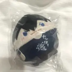 ハイキュー ふわコロりん6 影山 飛雄(Tシャツver.) 特典 セッター魂