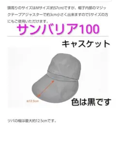 2026年最新】サンバリア100の人気アイテム - メルカリ