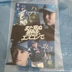 日本ハムファイターズ ⭐️まだ見ぬ景色をエスコンで⭐️田宮裕涼 奈良間大己ステッカー