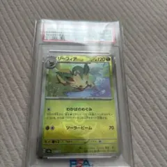 2026年最新】リーフィア マスターボール psa10の人気アイテム - メルカリ
