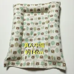 Item thumbnail for item 3df4aed4-bf8a-41d7-ad71-990fb200cc28