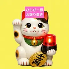 ひらぴー様お取り置き