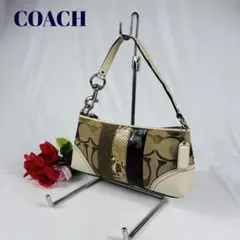 パイソン ハンドバッグ