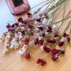 muguet.様 リクエスト 2点 まとめ商品