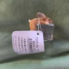 キーストーン　アイスアニマル　ラビット　置物