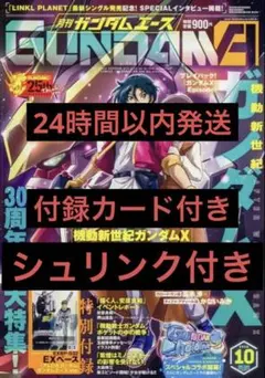 月刊ガンダムエース 2026年10月号 付録カード付き - Mercari | Rakufun