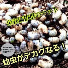 Item thumbnail for item 9b752f4d-4e49-4284-a9a1-6a68d06d2a33