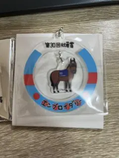 Welcomeチャンス　エンブロイダリー　2025年秋華賞　アクリルキーホルダー