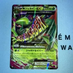 ちゃわわ様 リクエスト 5点 まとめ商品