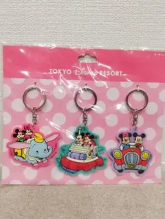 東京ディズニーリゾート キーホルダー 3個セット
