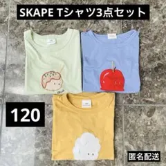 シシュノン SKAPE T エスケープ Tシャツ3点セット 120サイズ