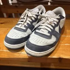 NIKE TERMINATOR LOW