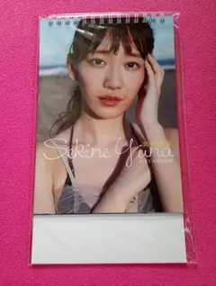 Item thumbnail for item d62f0097-ad5e-4dd6-a4eb-4bb02a6950f7