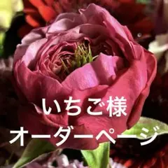 ⭐︎いちご様オーダーページ⭐︎