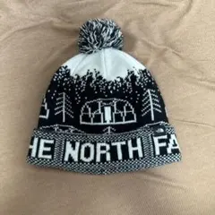 THE NORTH FACE ニット帽 ビーニー ポンポンのサムネイル