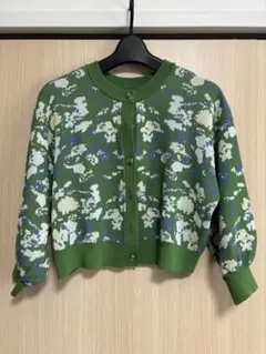 Item thumbnail for item 250bde29-e411-466c-86d2-6822c61e0740