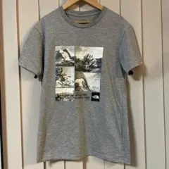 THE NORTH FACE ジョシュアツリー 半袖Tシャツ グレー L