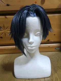 にじさんじ 四季凪アキラ コスプレ ウィッグ セット済み ✝四季凪アキラ ウィッグ✝セット済 にじさんじ - メルカリ