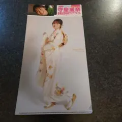ヤングマガジン☆抽プレ懸賞応募券5枚☆榎原依那 池田レイラ 直筆