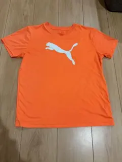 Item thumbnail for item a76b093a-f913-4139-8be1-31c9bd67558d