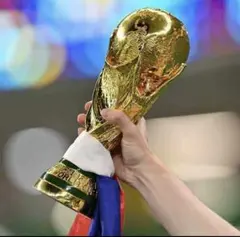 2025年最新】w杯 トロフィーの人気アイテム - メルカリ